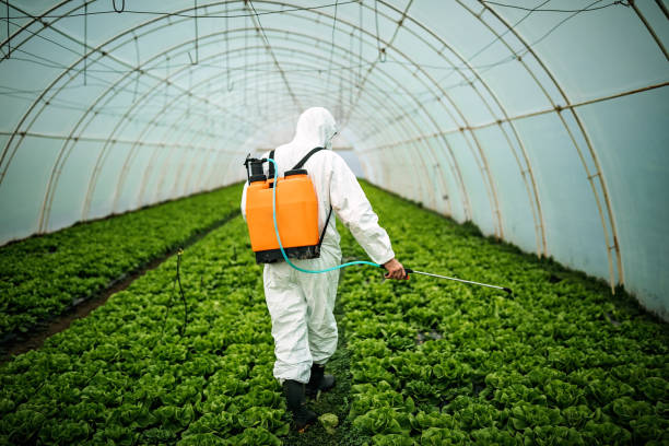 Reliable Nome, AK Pest Control Solutions
