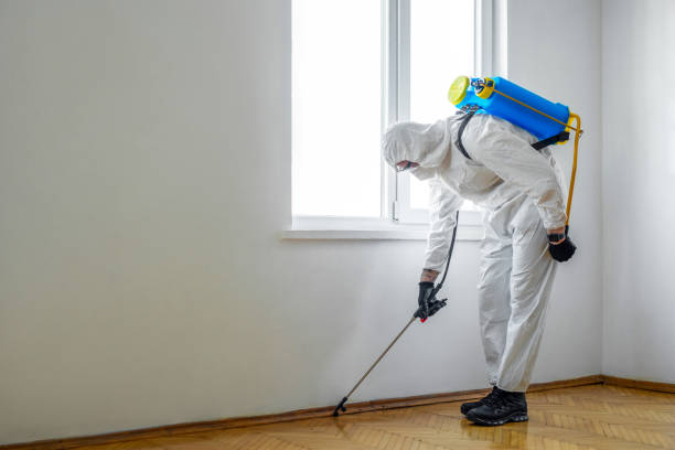 Best Cockroach Control Services  in Nome, AK